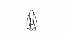bouncy rabbit