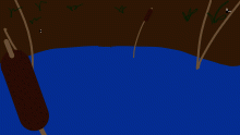 Update: The Swamp!