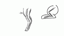 Leg