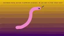 EARTHWORM SALLY