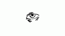 eye go blink