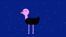 ostrich dances