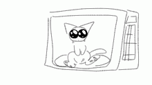 bingus microwave