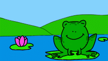 A Frog