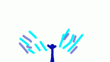 fly