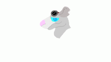 ratto