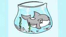 I own the fking fishbowl now