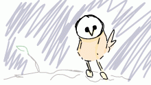 weird owl thing