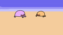 beach wedding for frogs