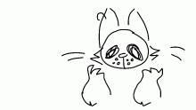 Animation Test
