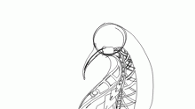 A wip i might finish