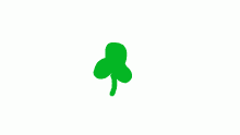Clover