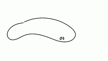 snek