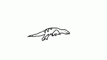 Lil Komodo Dragon