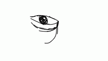 Eye