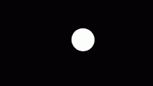 Jelly ball