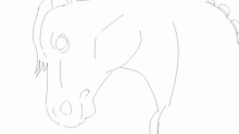 Horse Free Draw