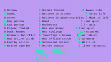 What are these questions