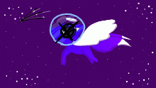 dfea oxf ni paces