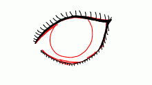 eye idk