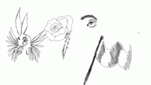 doodles