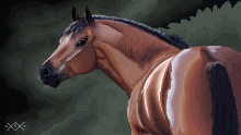 Buckskin Beauty