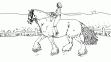 trotting around the arena