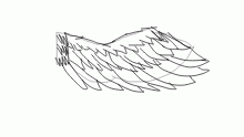 wing practice