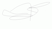 PENIS