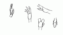 hand practice