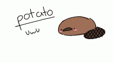 uwu