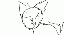 drumcat