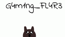 Avatar for G4m1ng_FL4R3