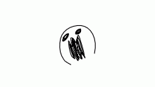 The Anonmaly (check Desc)