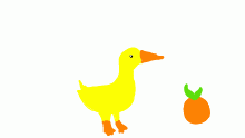 QuAcK