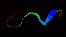 Colorful snake