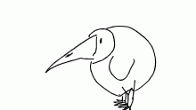 birb
