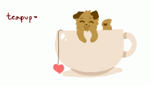 teapup
