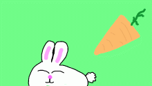 Avatar for XxGalaxyxX