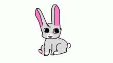 @roselilies