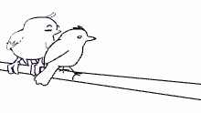 bird bro settles in