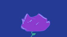 its a bubble gum rose