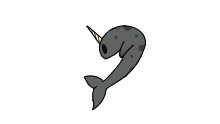 Narwhale