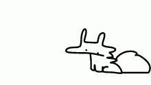 fly
