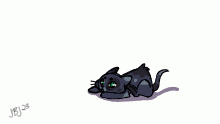 kitty (24fps)