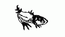 vdfgbzc