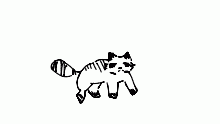 Raccoons