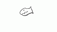fesh