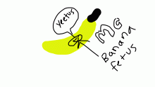 Yeetusmcbananafetus version two