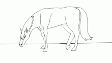 Grazing...
